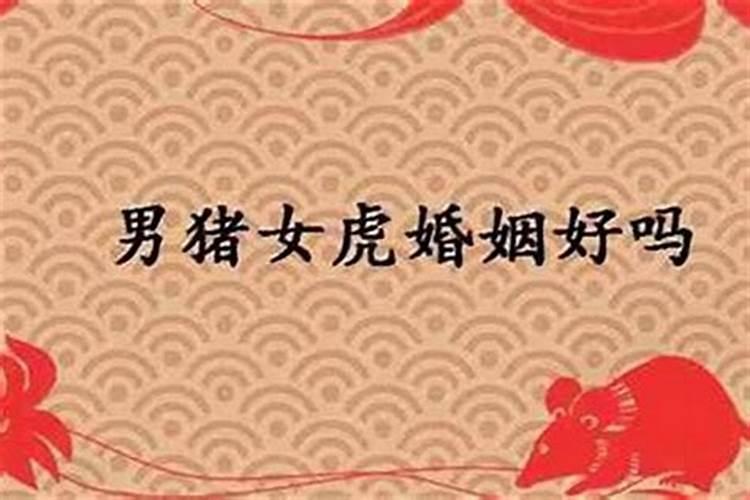 2025年是龙年吗还是蛇年