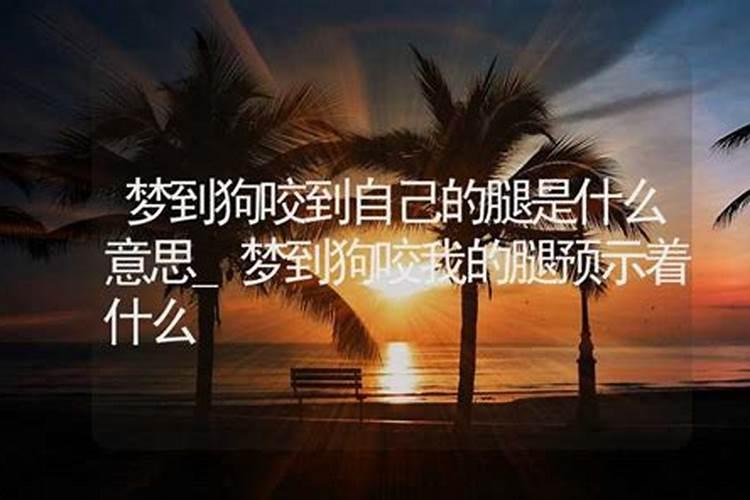 梦到小狗是什么意思胎梦