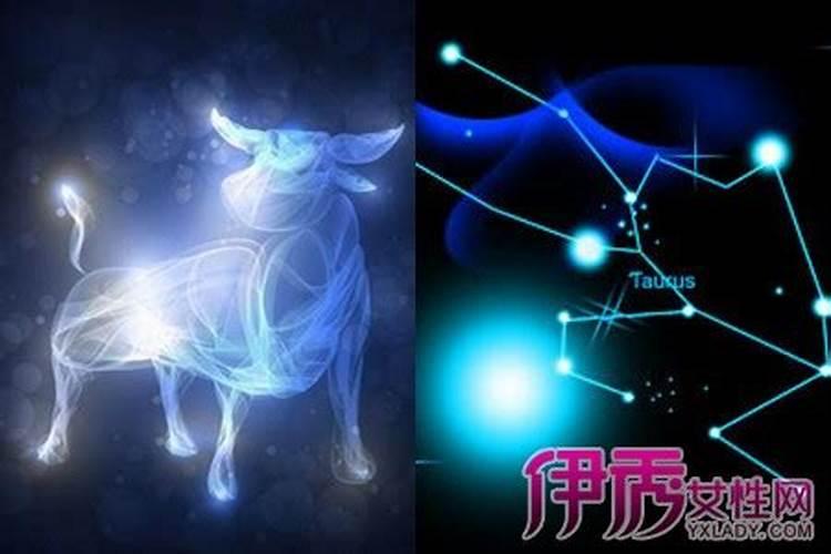 属狗金牛座男生性格分析