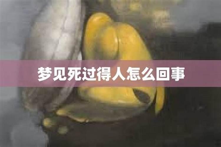 梦见孩子和同学打架