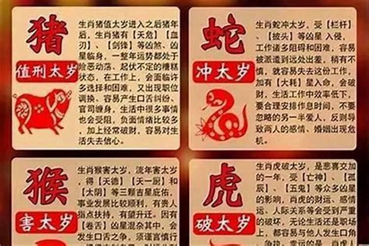 属羊的能克死属鼠的吗,羊和鼠犯冲吗