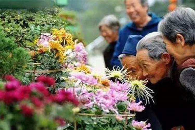 重阳节传统节日风俗活动有哪些