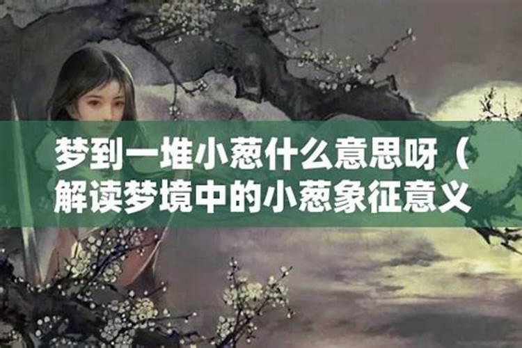 梦见抱着大葱的预兆