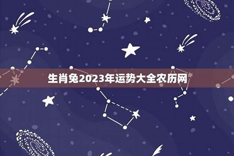 属兔人2024年9月运势