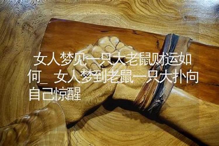 梦到老鼠扑向自己惊醒
