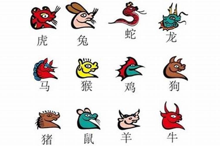 夏至吃什么最旺运