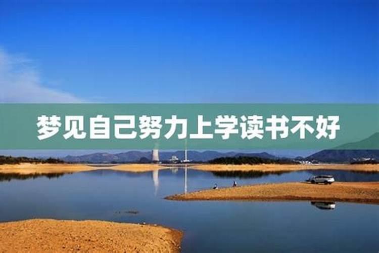 已婚女人梦见在教室读书