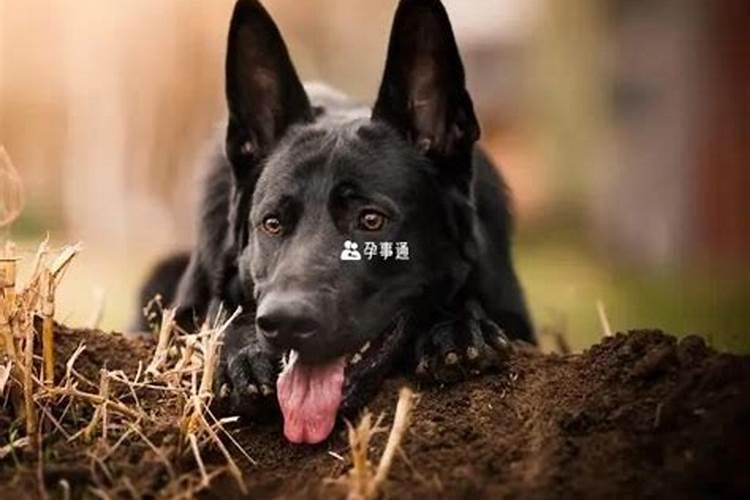 北方腊月二十三有什么风俗