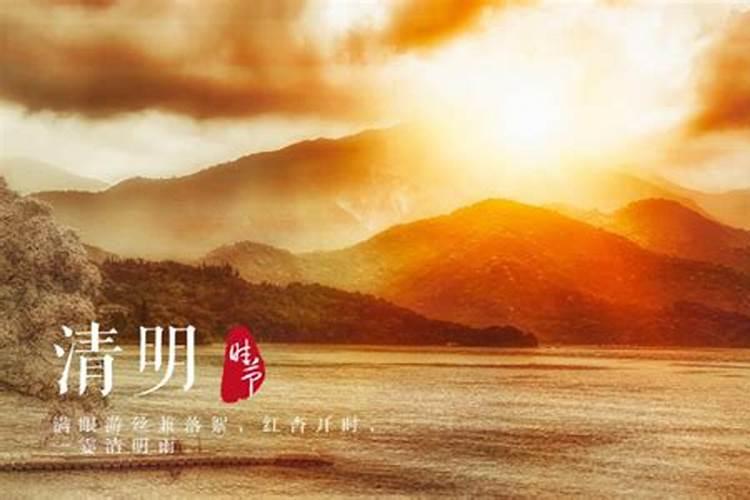 清明节为什么去要种树