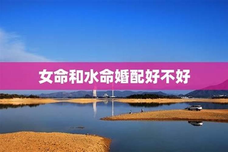 ...属狗。请求八字五行大师帮我看看我是什么命。命里缺什么...百度知...