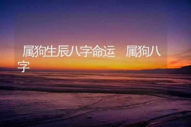 我是1982年九月初六子时出生的 我的八字是什么样子的？我将来会不会成为...