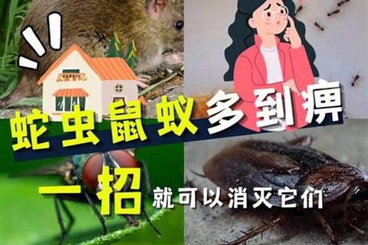梦到拉虫子是什么意思？