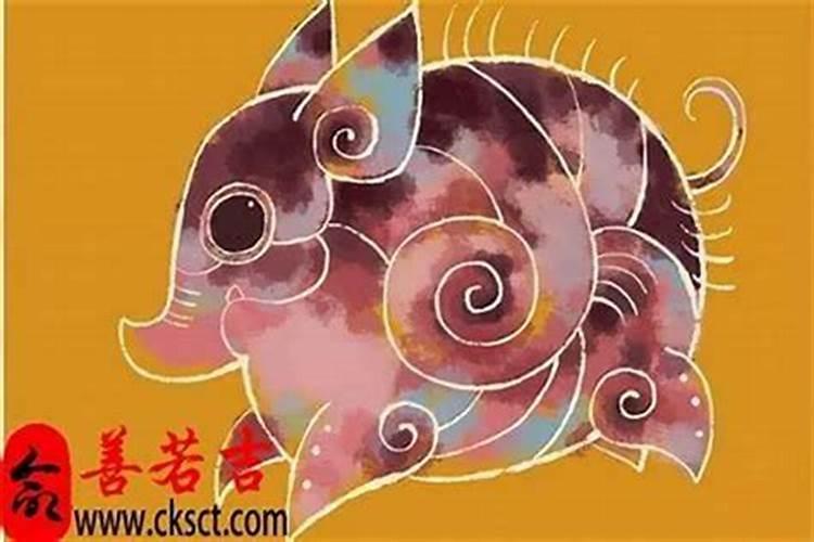 1995属猪一生大劫年 一生有三劫？