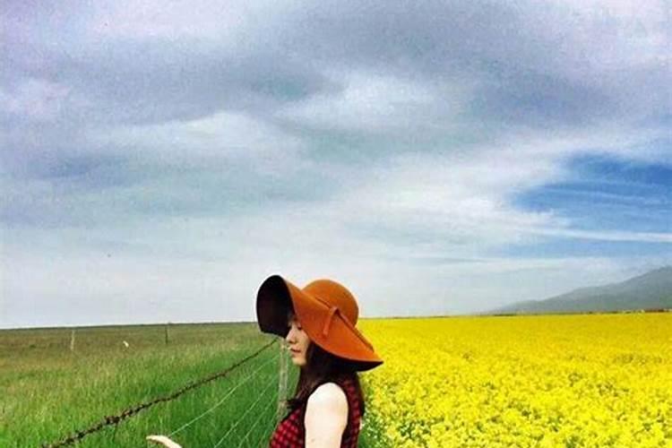 青海油菜什么时候收割