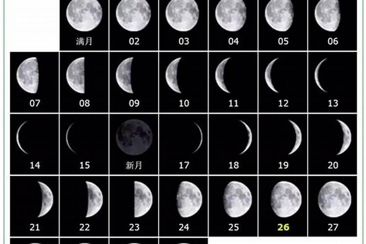 2024年八月十五放假几天