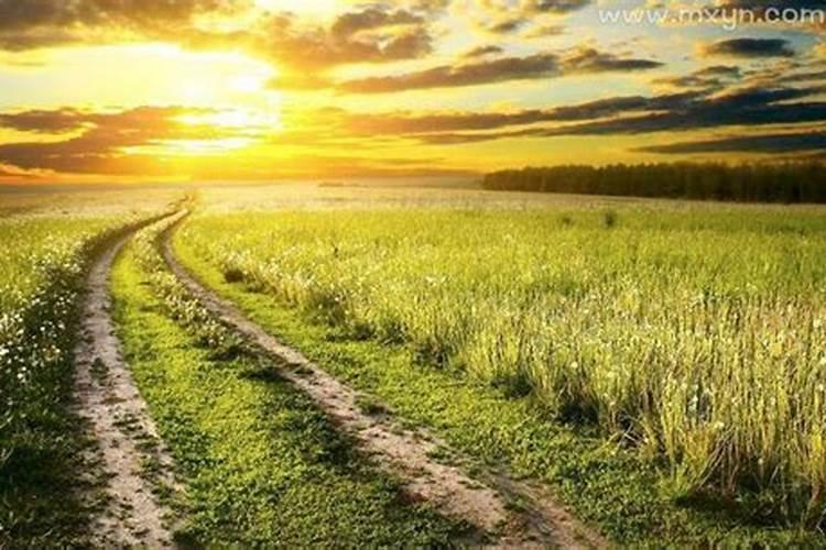 梦见回家的路上障碍重重