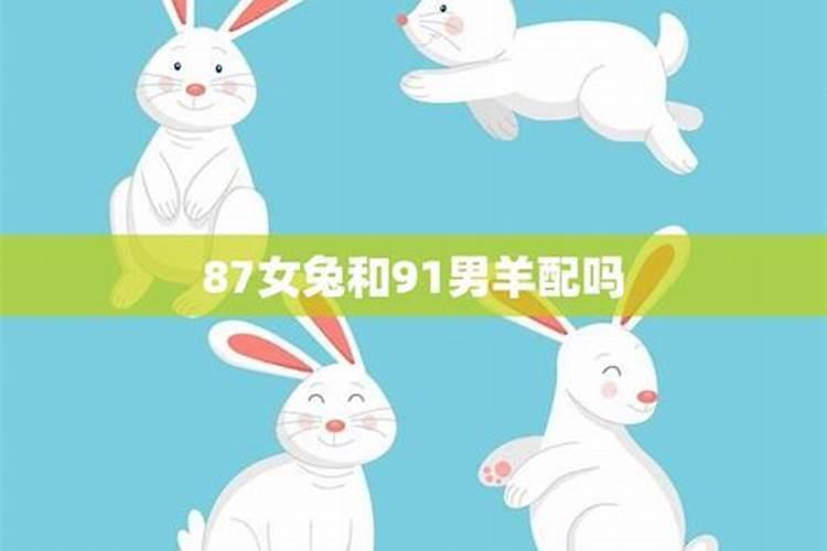 兔女和羊男婚配怎么样,79年羊男和87年兔女相配吗？