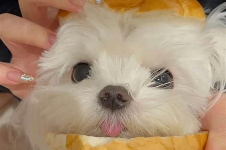 用什么头像桃花最旺运男