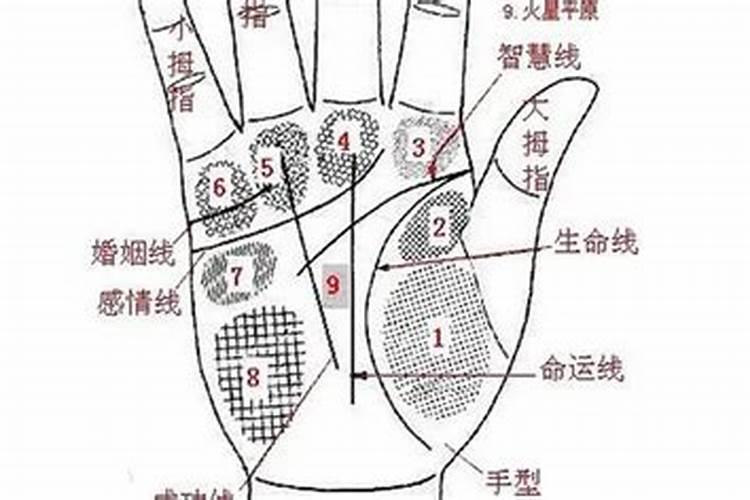 算命里面什么界定离过婚？