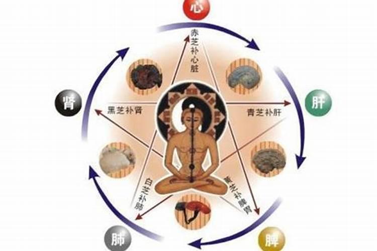 木命的人怎么旺财