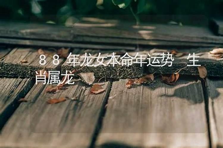 木命的人带什么旺财