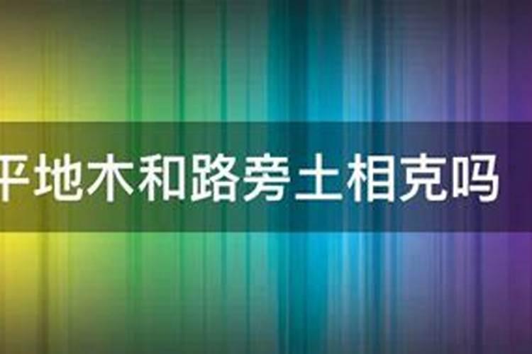 平地木遇松柏木命运势好不好？
