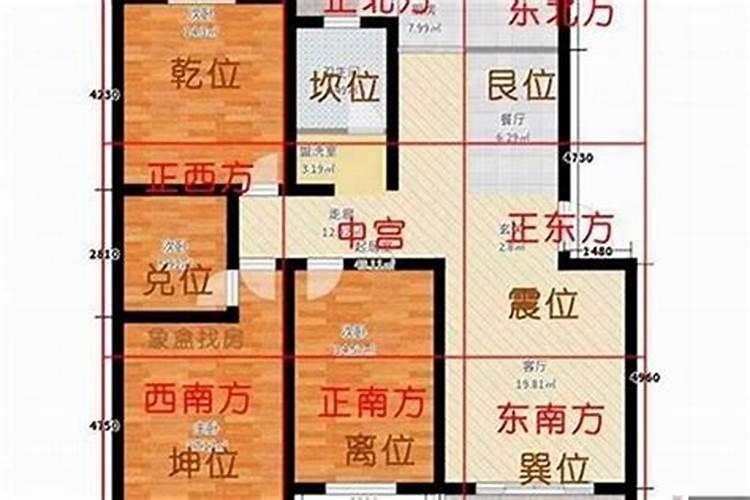 属牛女在2025年的运势