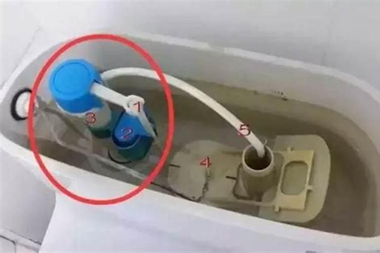 梦见自己家的马桶里跑来了各种各样的鱼是怎么回事