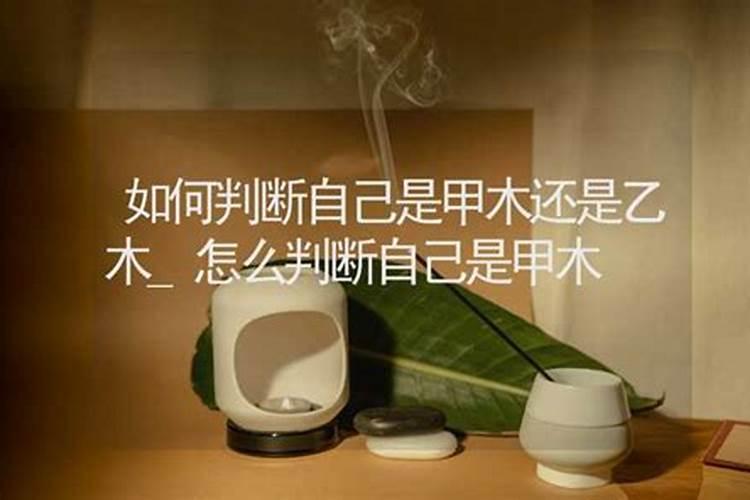 怎样判断是甲木人还是乙木人？