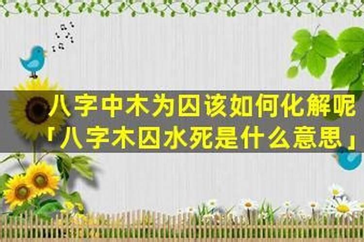 土旺、金相、火休、木囚、水死什么意思啊？