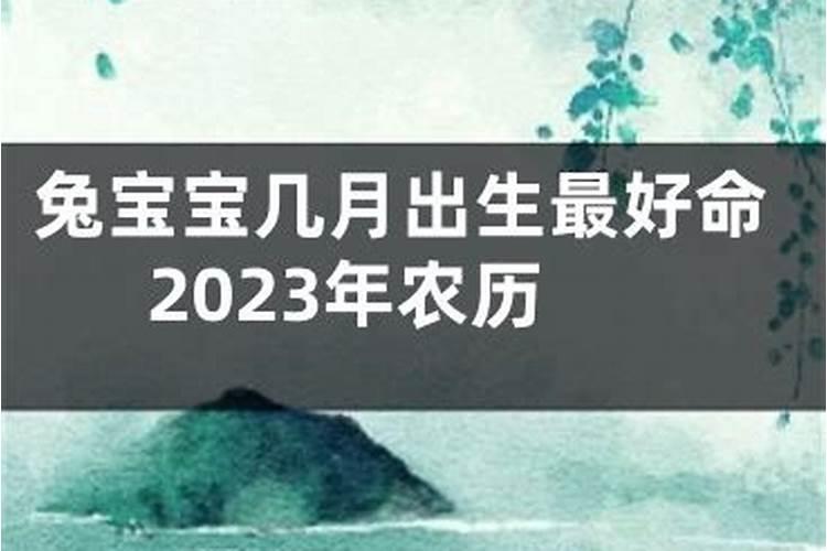 属鸡的几月出生最好
