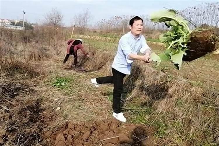梦见干农活的预兆