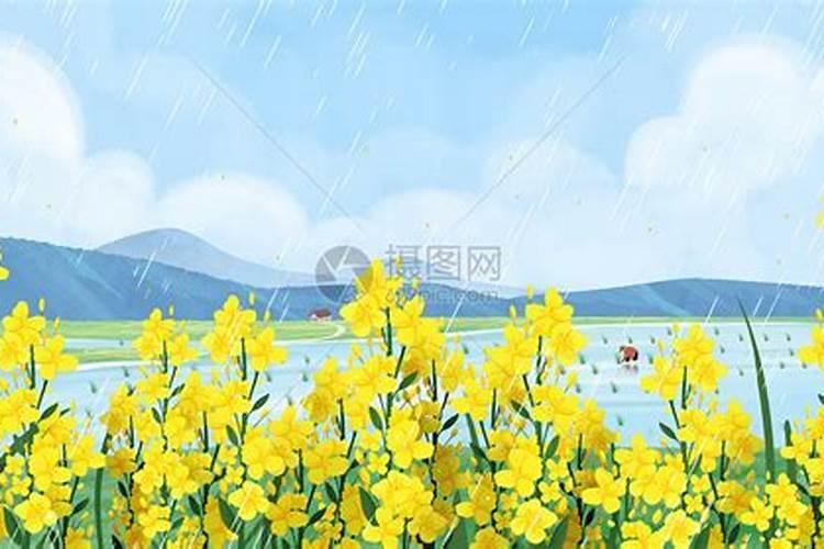 清明去哪赏花