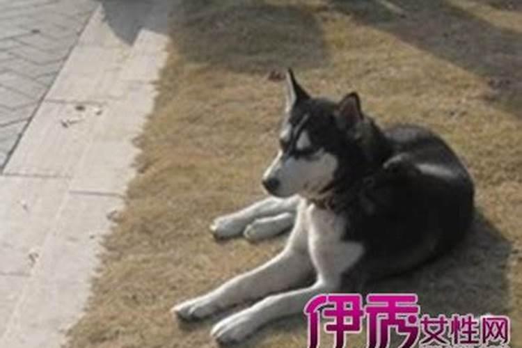脸上长一根白毛有福吗