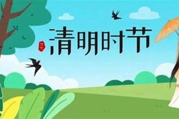 2025年属鼠的运势和财运
