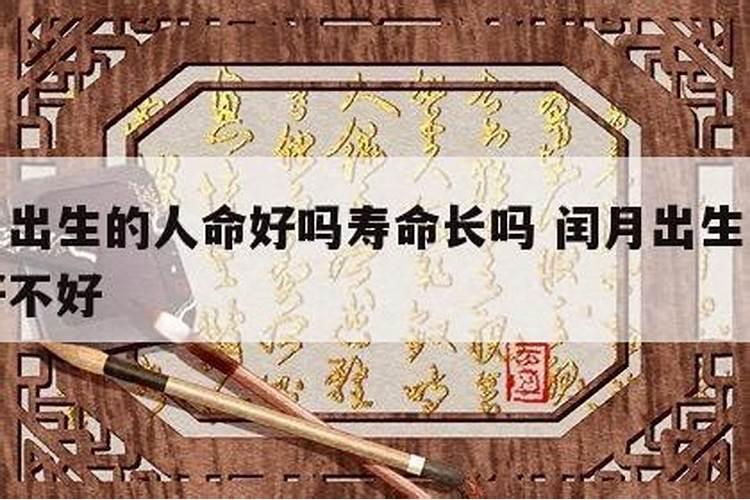 九五年闰八月的猪命非常好