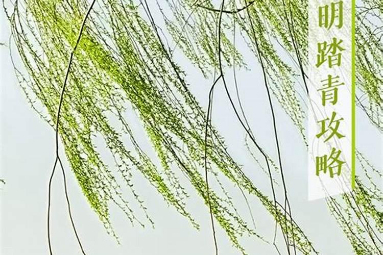 北京十大适合清明节旅游的地方