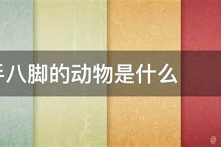十二生肖中什么动物是有七手八脚的呢