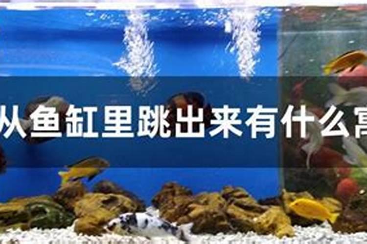 山东枣庄气候特点？
