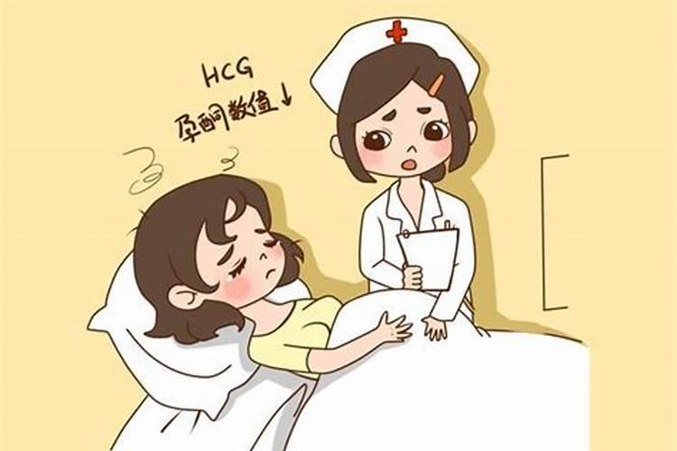 向日葵盘煮水保胎止血怎么回事 怀孕初期吃什么保胎