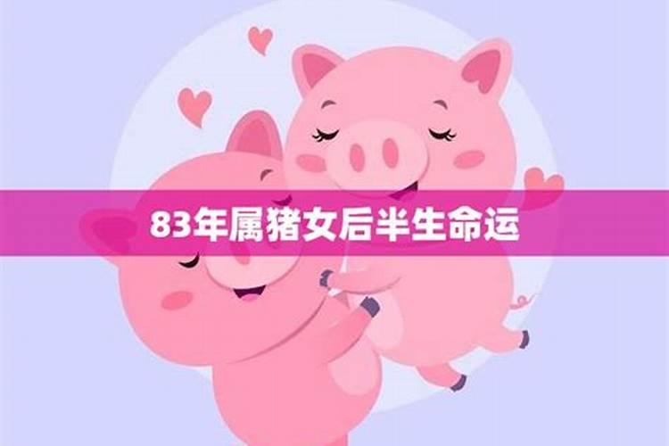 83年猪24年下半年运势