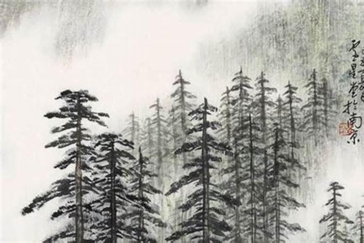 晋江没有冬天吗