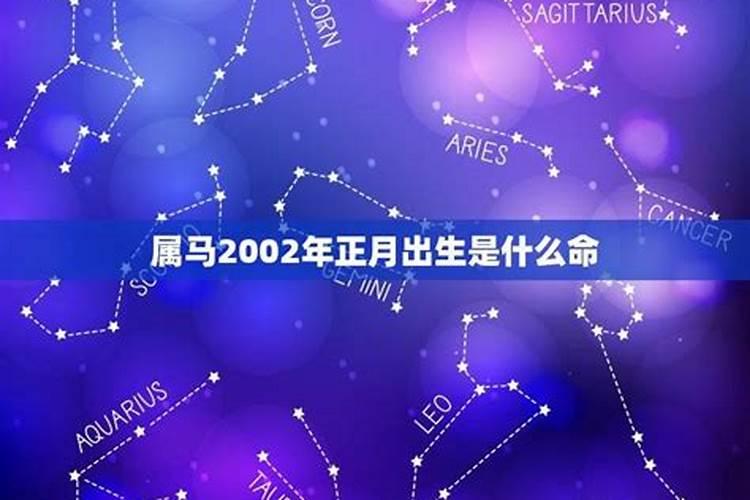 正月十五出生属马人命运
