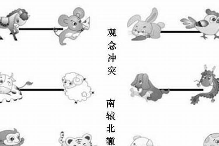 属相相冲会有什么后果,生肖相冲会有什么后果？谁能解释一下