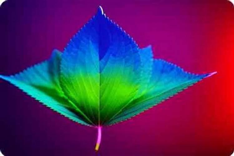 2019寒衣节是哪一天