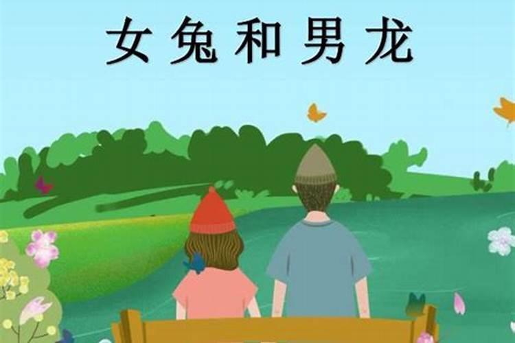 兔龙属相婚配