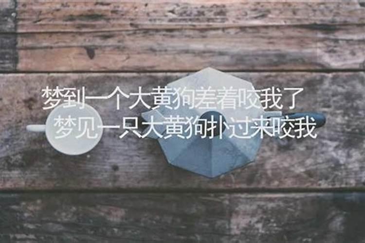 狗扑向自己但没咬