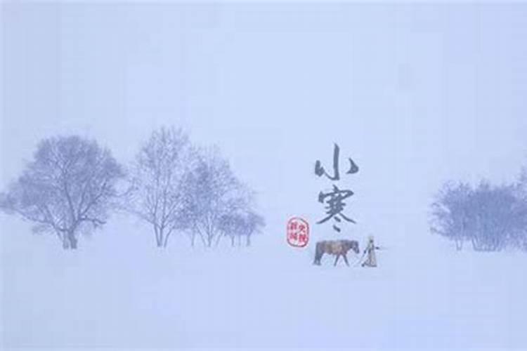 农历腊月初三小寒出生的女宝五行缺什么取名最佳字