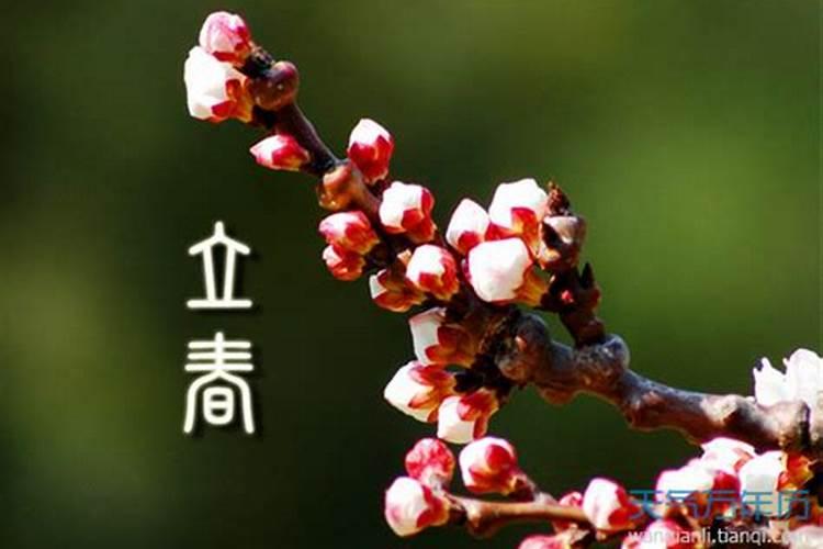 立春节气的含义是什么