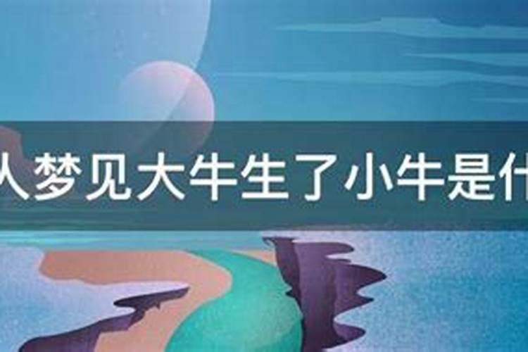 梦见刚出生的孩子跑的很快的预兆